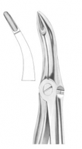  Fig. 48 lower roots 